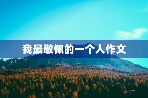 我最敬佩的一个人作文 我最敬佩的一个人作文