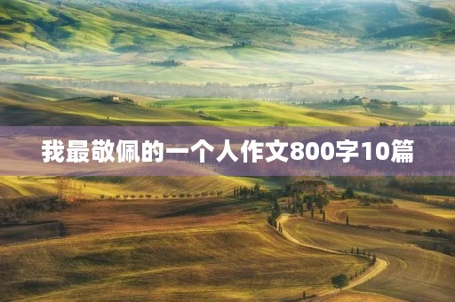 我最敬佩的一个人作文800字10篇