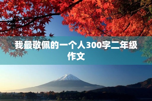我最敬佩的一个人300字二年级作文 我最敬佩的一个人300字二年级作文