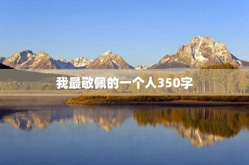我最敬佩的一个人350字 我最敬佩的一个人350字
