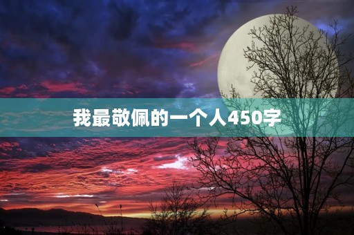 我最敬佩的一个人450字