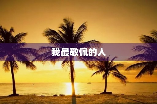 我最敬佩的人 我最敬佩的人