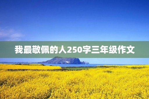 我最敬佩的人250字三年级作文 我最敬佩的人250字三年级作文
