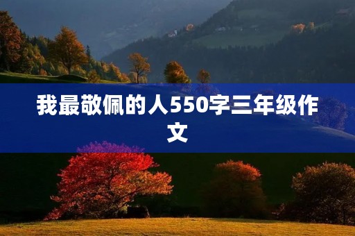 我最敬佩的人550字三年级作文