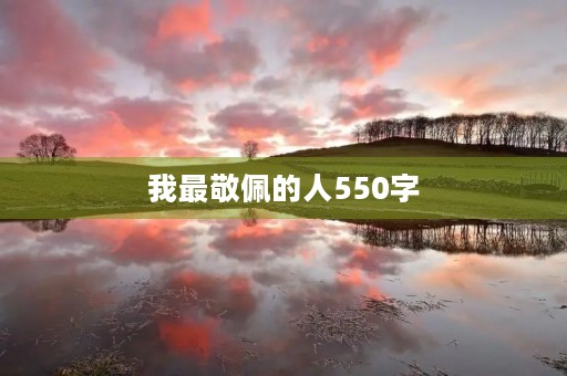 我最敬佩的人550字