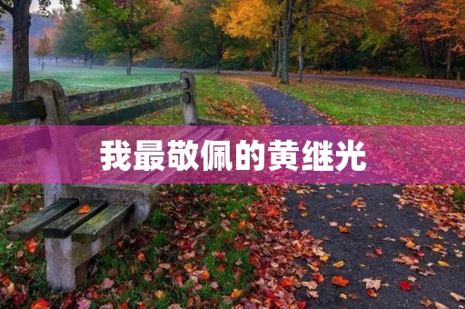 我最敬佩的黄继光