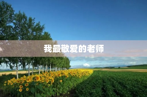 我最敬爱的老师