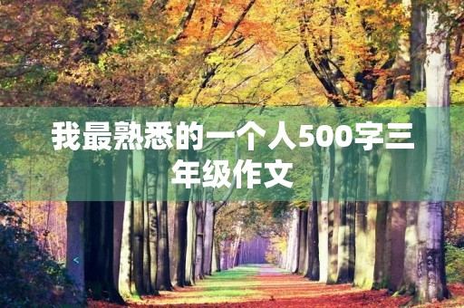我最熟悉的一个人500字三年级作文