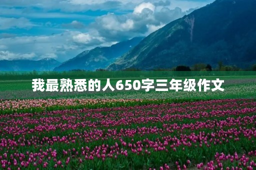 我最熟悉的人650字三年级作文