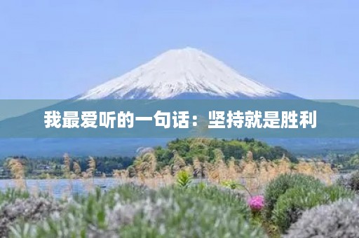 我最爱听的一句话：坚持就是胜利
