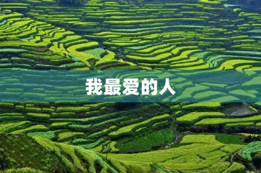 我最爱的人