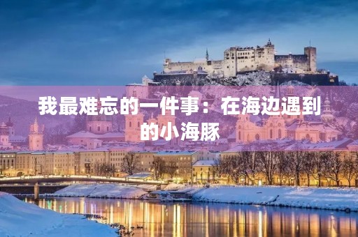 我最难忘的一件事:在海边遇到的小海豚 我最难忘的一件事:在海边遇到的小海豚