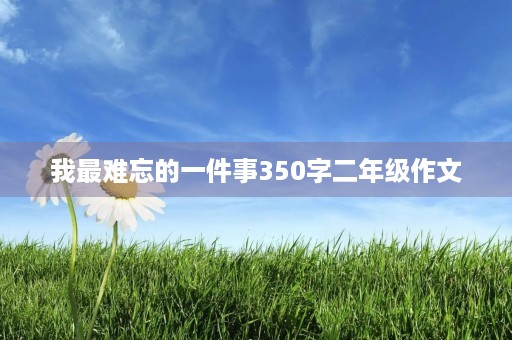 我最难忘的一件事350字二年级作文