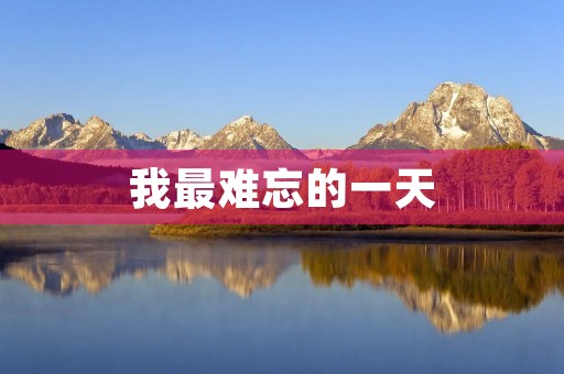 我最难忘的一天