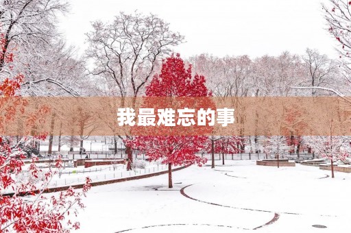 我最难忘的事 我最难忘的事