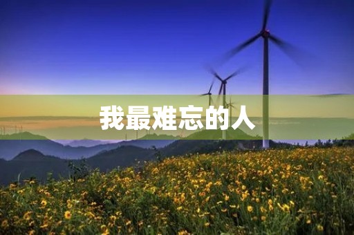 我最难忘的人 我最难忘的人
