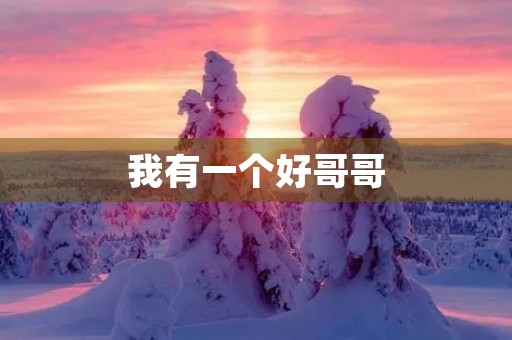 我有一个好哥哥