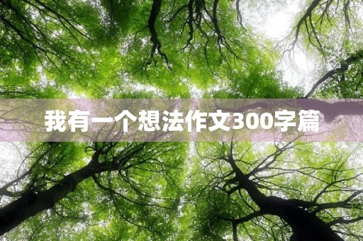 我有一个想法作文300字篇 我有一个想法作文300字篇