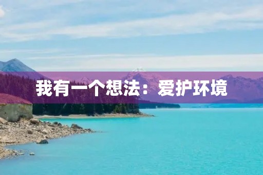 我有一个想法：爱护环境