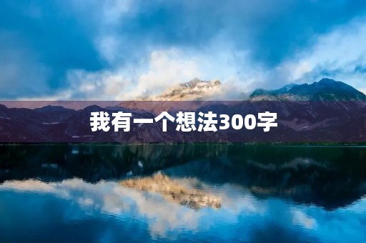 我有一个想法300字