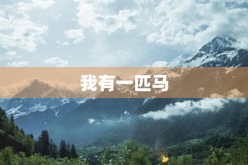 我有一匹马