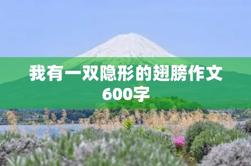 我有一双隐形的翅膀作文600字