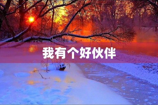 我有个好伙伴
