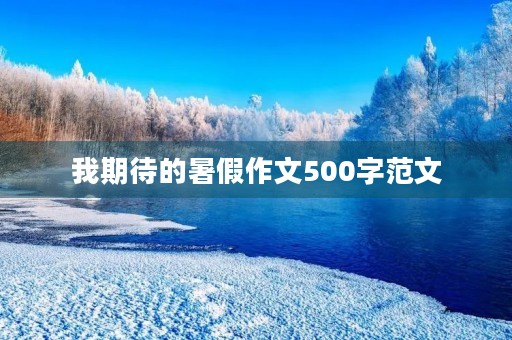 我期待的暑假作文500字范文