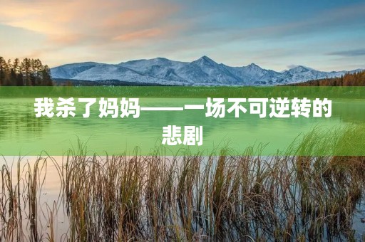 我杀了妈妈——一场不可逆转的悲剧 我杀了妈妈——一场不可逆转的悲剧