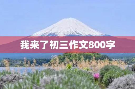 我来了初三作文800字
