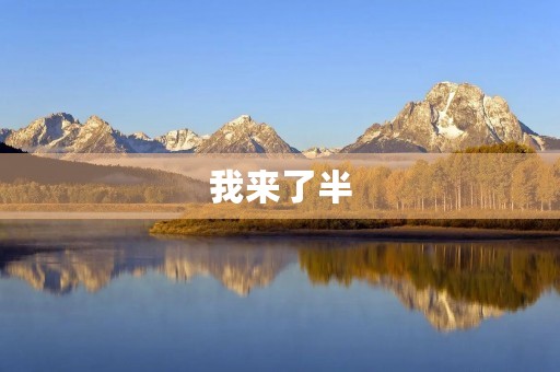 我来了半 我来了半