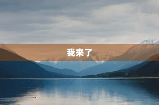 我来了,我的初三生活 我来了,我的初三生活