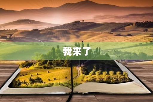 我来了，我的故事