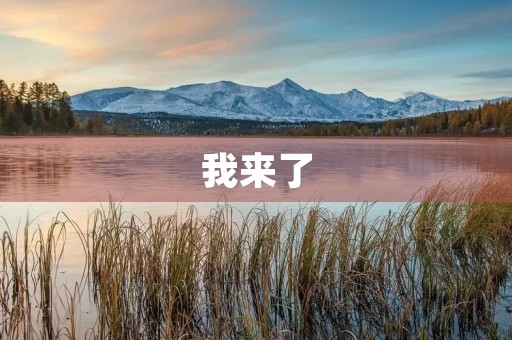 我来了,我要改变! 我来了,我要改变!