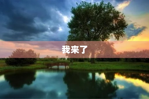 我来了