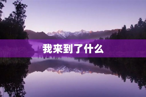 我来到了什么 我来到了什么