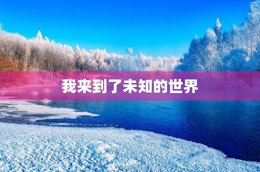 我来到了未知的世界 我来到了未知的世界