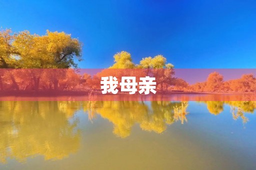 我母亲，我的支撑