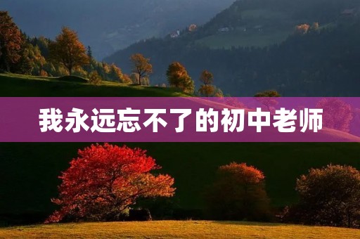 我永远忘不了的初中老师