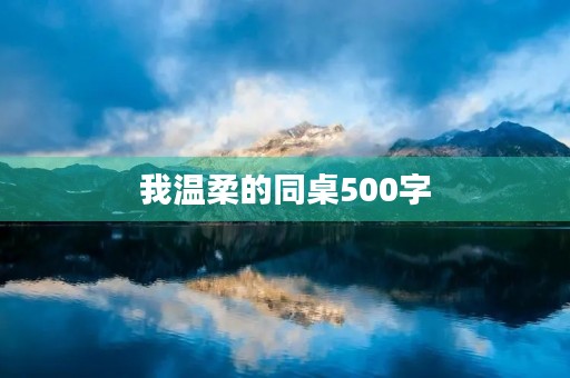 我温柔的同桌500字 我温柔的同桌500字