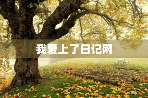 我爱上了日记网，记录我生活的点点滴滴