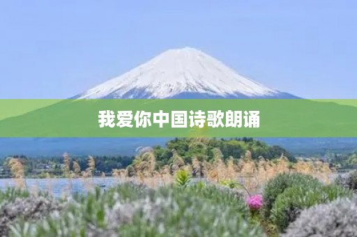 我爱你中国诗歌朗诵