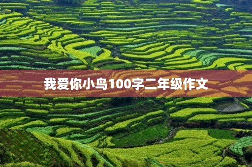 我爱你小鸟100字二年级作文