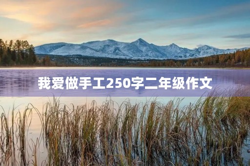 我爱做手工250字二年级作文
