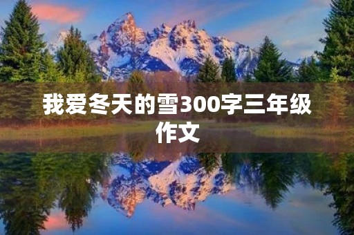 我爱冬天的雪300字三年级作文