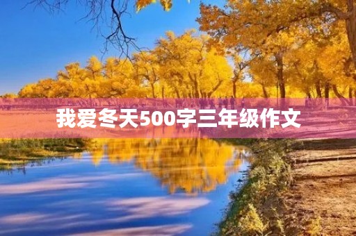 我爱冬天500字三年级作文