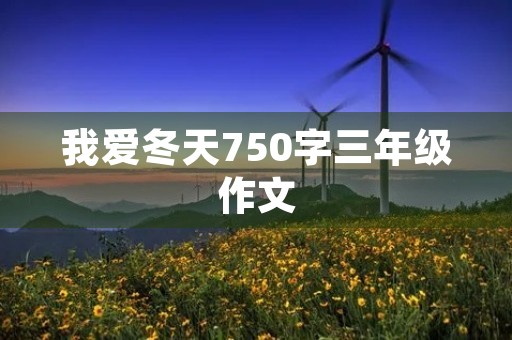 我爱冬天750字三年级作文