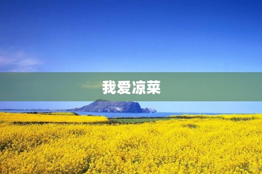 我爱凉菜 我爱凉菜