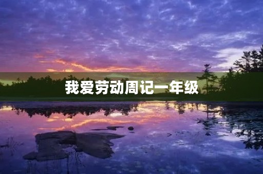 我爱劳动周记一年级