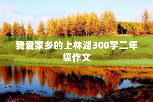 我爱家乡的上林湖300字二年级作文